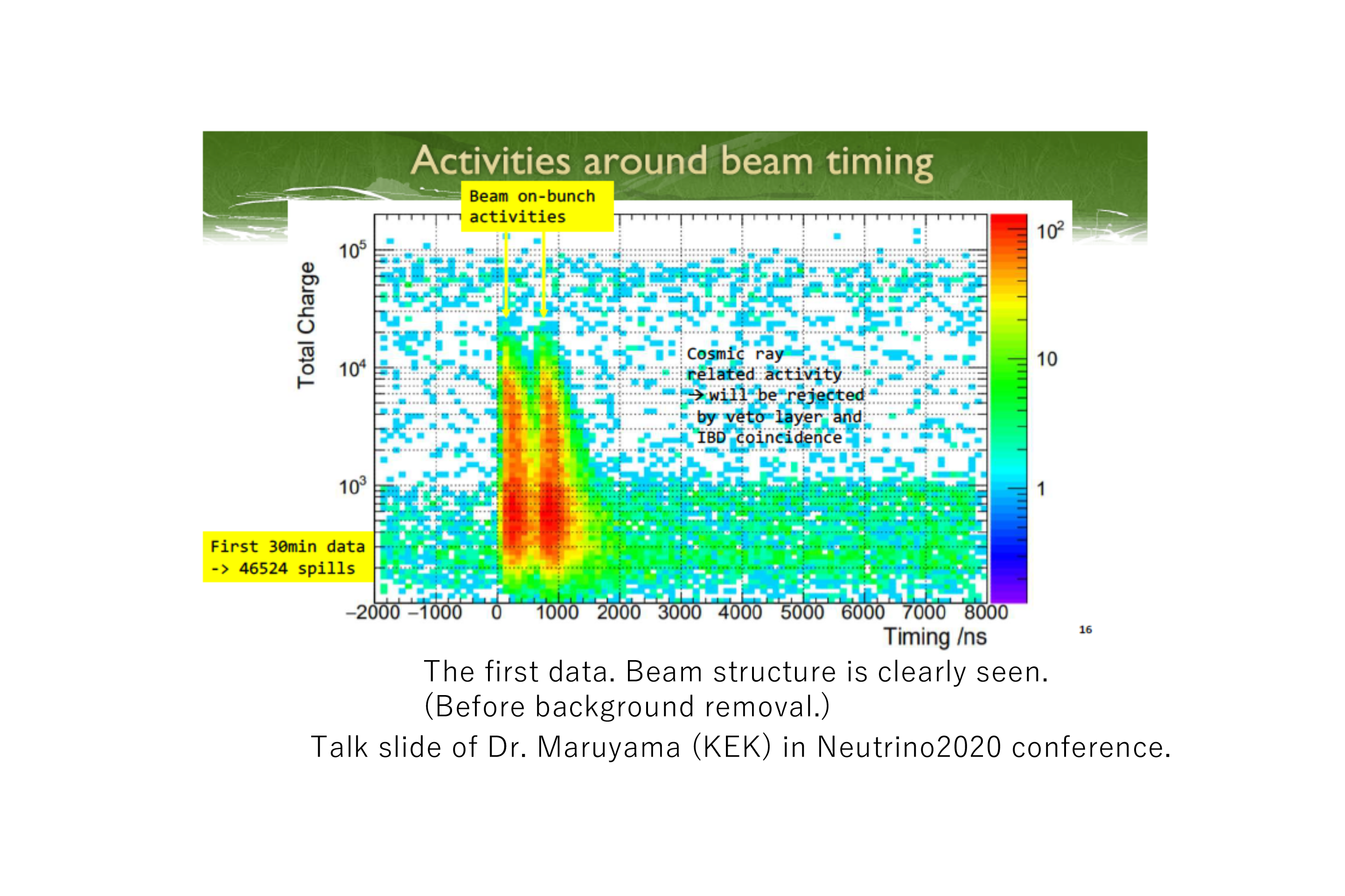 JSNS2 data